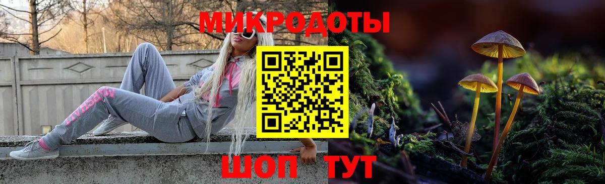Галлюциногенные грибы ЛСД  Вход с VPN  Озёры 