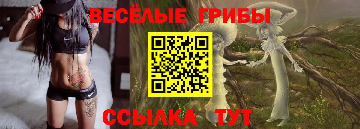 ГАШ Озёры